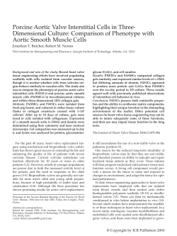 Porcine Aortic Valve Interstitial Cells in Three