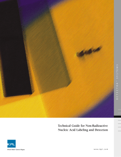 Technical Guide for Non-Radioactive Nucleic Acid Labeling and