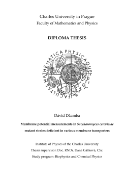 Charles University in Prague DIPLOMA THESIS