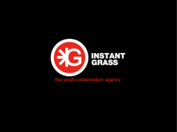 the youth collaboration agency