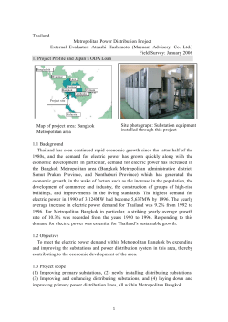 Thailand Metropolitan Power Distribution Project External Evaluator