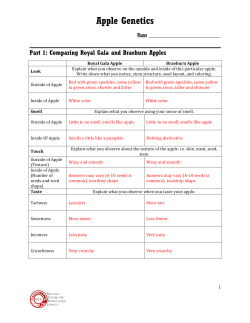 Apple Genetics worksheet