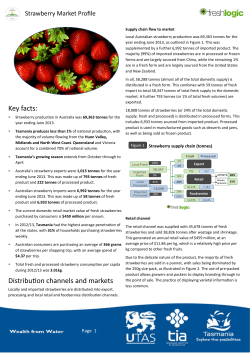 Strawberry Market Proﬁle