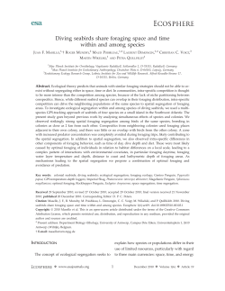 Diving seabirds share foraging space and time within and among