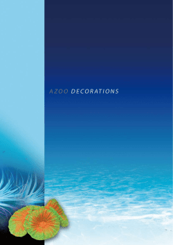 azoo decorationS