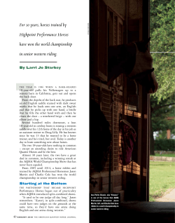 For 10 years, horses trained by Highpoint Performance