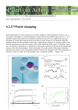 4.2.3??Patch clamping