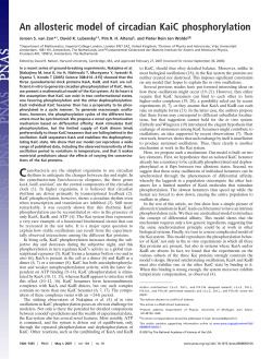 An allosteric model of circadian KaiC phosphorylation
