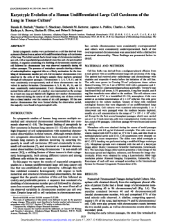 Karyotypic Evolution of a Human