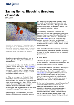 Saving Nemo: Bleaching threatens clownfish