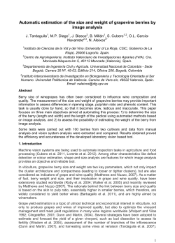 Automatic estimation of the size and weight of