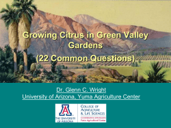 Growing Citrus in Green Valley Gardens