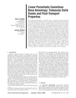 Linear Poroelastic Cancellous Bone Anisotropy: Trabecular Solid