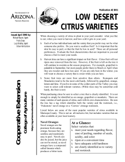Low Desert Citrus Varieties - The University of Arizona Extension