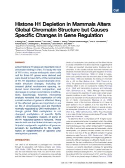 Histone H1 Depletion in Mammals Alters Global Chromatin Structure