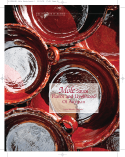 MoleSauce Flavor and Livelihood Of Atocpan