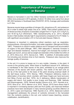 Importance of Potassium in Banana