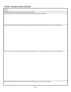 STOP: COLMA SAND DUNES