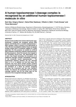 A human topoisomerase I cleavage complex is