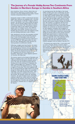 The Journey of a Female Hobby Across Two Continents