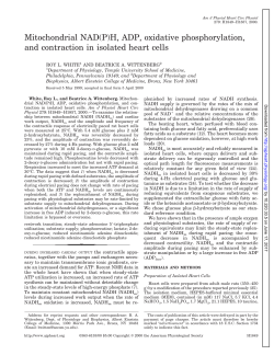 Mitochondrial NAD(P)H, ADP, oxidative phosphorylation, and