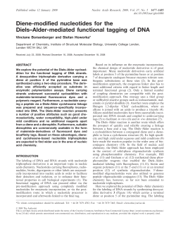 Diene-modified nucleotides for the Diels–Alder