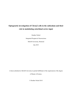 Optogenetic investigation of Chrna2 cells in the