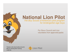 National Lion Pilot
