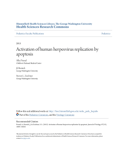Activation of human herpesvirus replication by apoptosis