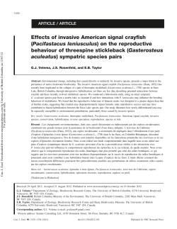 Effects of invasive American signal crayfish