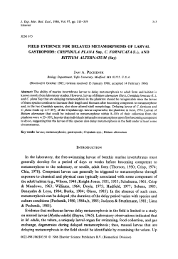 GASTROPODS: CREPZDULA PLANA Say, C