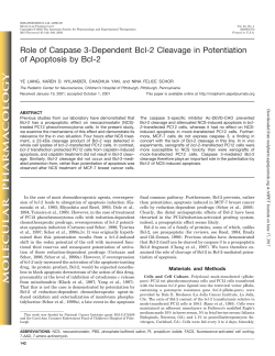 Role of Caspase 3-Dependent Bcl-2 Cleavage in Potentiation of
