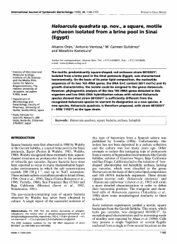 Haloarcula quadrata sp. nov., a square, motile archaeon isolated