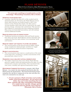 flash d&eacute;tente - Vintage Point