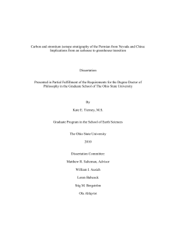 Carbon and strontium isotope stratigraphy of the Permian: a