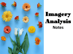 Imagery - Denton ISD