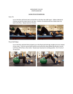 Lumbar Core Strengthening