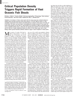 Critical Population Density Triggers Rapid Formation of Vast