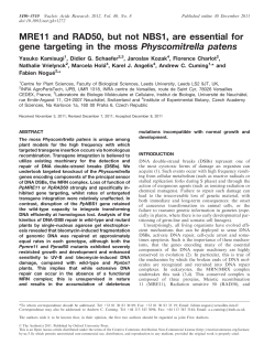MRE11 and RAD50, but not NBS1, are essential for gene targeting