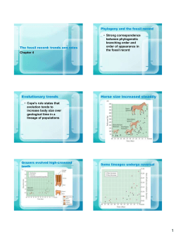 The fossil record: trends and rates