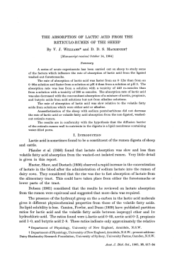 THE ABSORPTION OF LACTIC ACID FROM