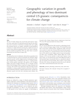 geographic variation in growth and phenology of