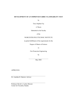 DEVELOPMENT OF AN IMPROVED FABRIC FLAMMABILITY TEST