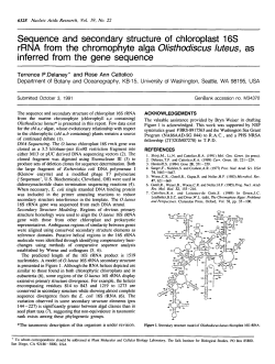 Sequence and secondary structure of chloroplast