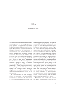 Spiders - University of California Press