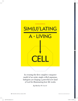Sim(u)2lating A + living Cell