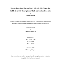 Density Functional Theory Study of Rutile SiO2 Stishovite: An