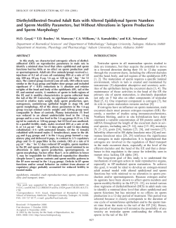 Diethylstilbestrol-Treated Adult Rats with Altered Epididymal Sperm