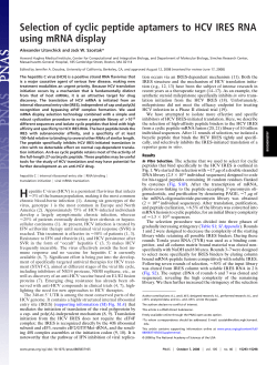 Selection of cyclic peptide aptamers to HCV IRES RNA