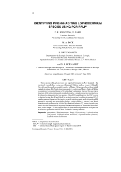 Identifying pine-inhabiting Lophodermium species